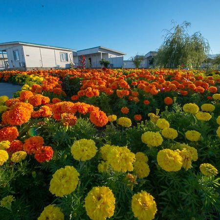 Aquamarine Resort Akshi Dış mekan fotoğraf